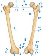 <p>6</p>