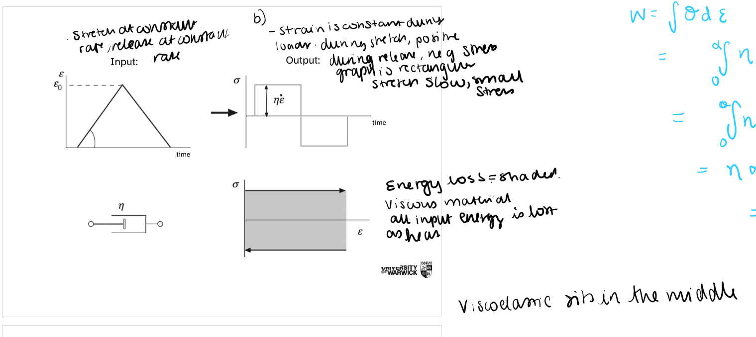 <p>difference between newtonian fluid and ideal elastic behaviours</p>