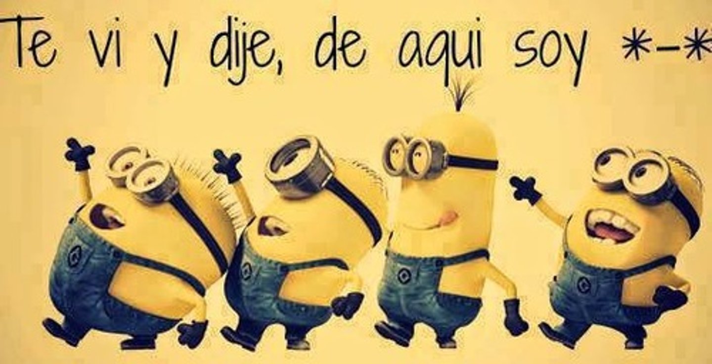 <p>yo decir</p>