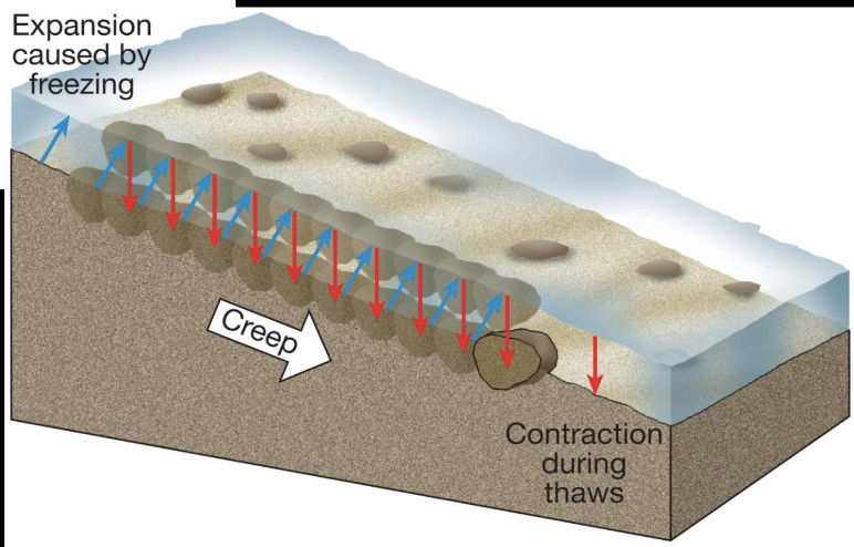 <p>Very slow movement of soil or regolith</p><p>Major contributing factors:</p><p>• water in soil</p><p>• daily freeze-thaw cycles</p><p>Creep occurs by Soil Expansion During Freezing followed by</p><p>settling after the thaw.</p><p>Also in Expanding/Contracting Clays</p><p></p>