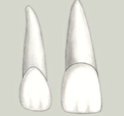 <p>Compared to permanent maxillary lateral incisors, maxillary central incisors are more likely to exhibit:</p><p>(what do maxillary central incisors have that maxillary lateral incisors don't?</p>