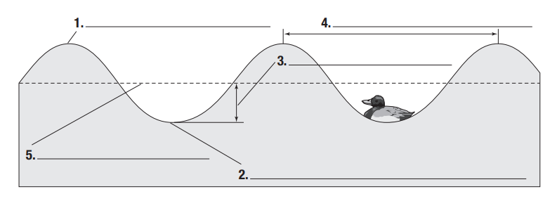 term image