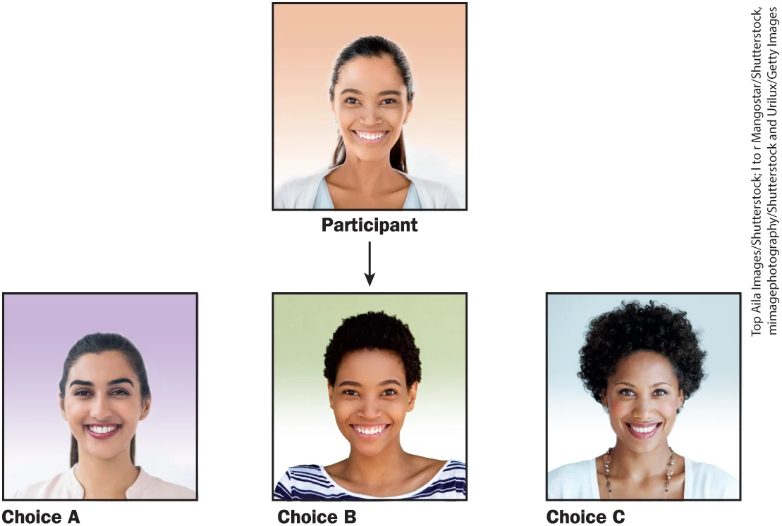 <p>Dr. Velez is conducting a study in which she asks participants to examine three photos and select the person who seems most likeable. The participant shown in this image chooses face B — which, unbeknownst to her, blends some features from an actual face with features of her own face.</p>