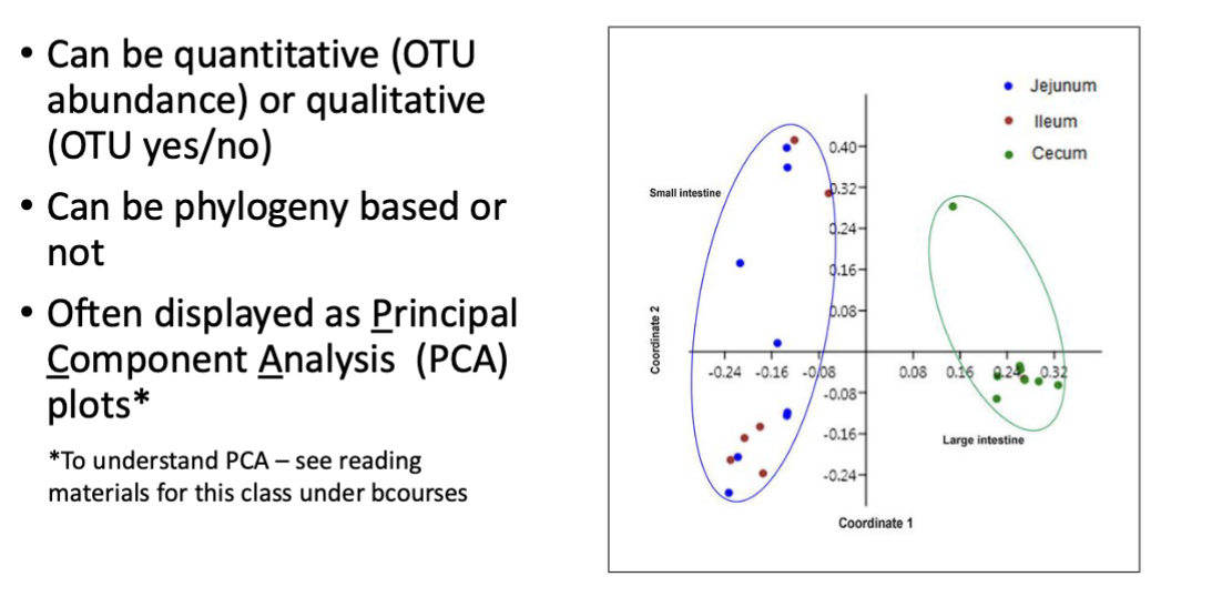 <p>microbial abundance profiles at diff taxonomic levels</p><p><strong>alpha diversity</strong> measures micorbial community composition</p><ul><li><p>shannon index auuuughhghhghghghgh</p></li><li><p>measures for a single sample</p><ul><li><p>richness and evenness</p></li></ul></li></ul><p></p><p>Beta diversity: measures microbial community differences</p><ul><li><p>quantitative (otu abundance, same organisms in same amount?)</p></li><li><p>qualitative (otu yes/no, share same organisms?</p></li><li><p>displayed as PCA (principal component analysis plots) pic</p></li></ul><p></p><p></p>