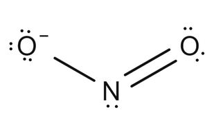 <p>NO<sub>2</sub><sup>-</sup></p>