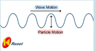 <p>Transverse Wave</p>