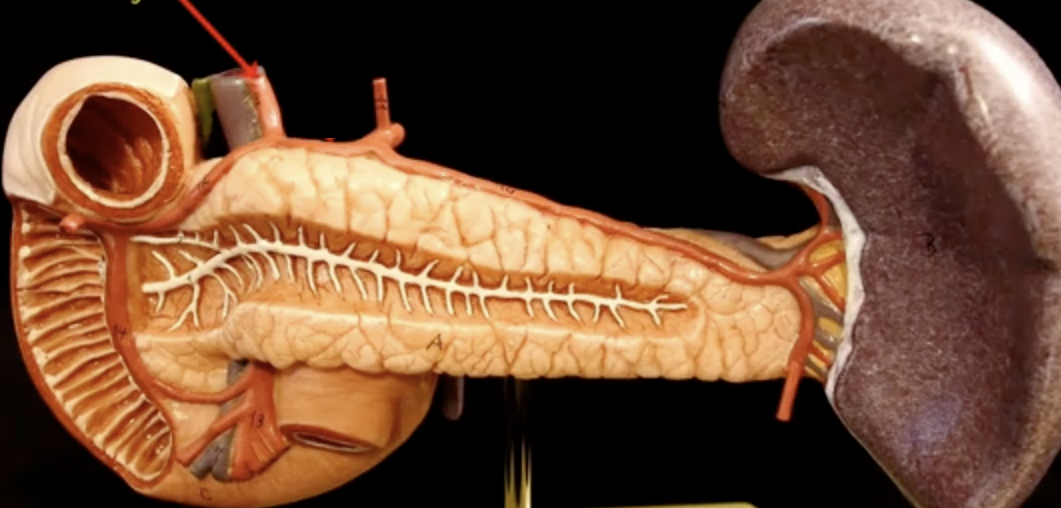 <p>What is the arrow pointing to?</p>