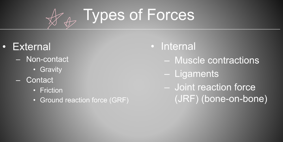 <ul><li><p>muscle contractions</p></li><li><p>ligaments</p></li><li><p>joint reaction force (JRF) (bone-on-bone)</p></li></ul><p></p>