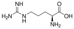 <p>Arginine</p><p>1 Letter: R</p><p>3 Letters: Arg</p><p>Positively charged </p><p>Basic Polar</p>