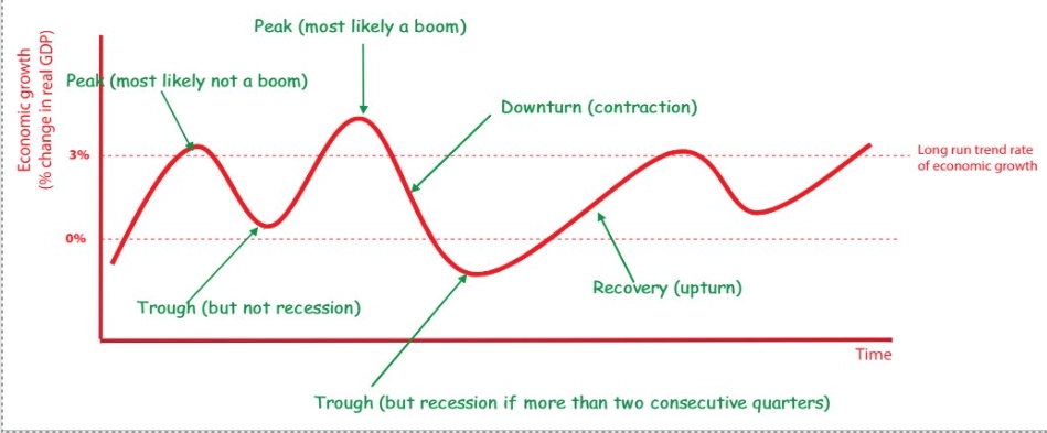 <p>expansionary/recovery phase, peak phase, slowdown/contraction phase, trough phase</p>