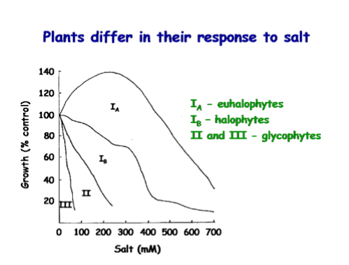 <p><span><strong><u>Ecophysiology: Costs</u></strong></span></p><p></p>