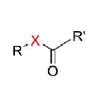 <p>Draw the general mechanism for the hydrolysis of ester/thioester</p>