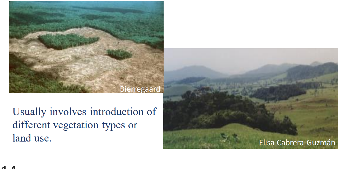 <p>The process whereby a large continuous area of habitat is both reduced in area and divided into two or more fragments</p>