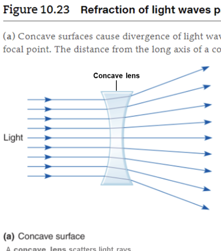 <ul><li><p>A lense that causes light rays to spread out when it is passed through </p></li></ul><p></p>