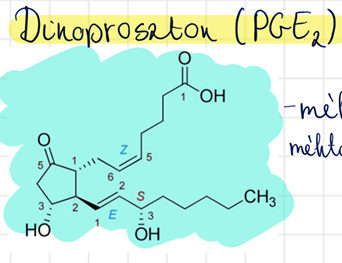 dinoproszton (PGE2) (Prepidil)