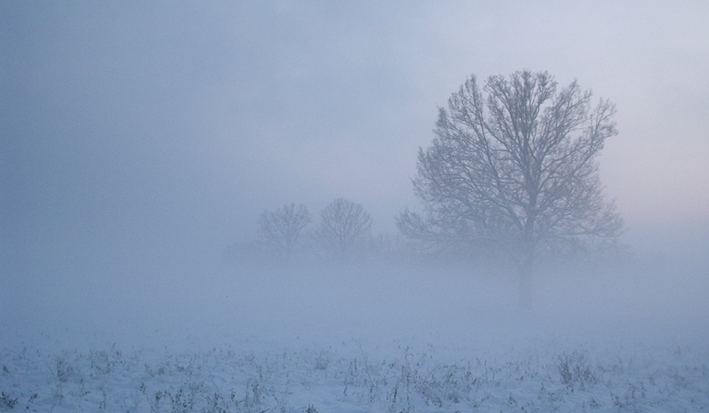 <p>fog</p>