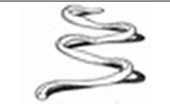 <p>🖼️ Identify: 3-D crimp</p>