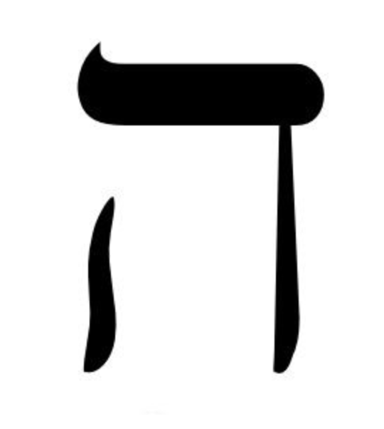 term image
