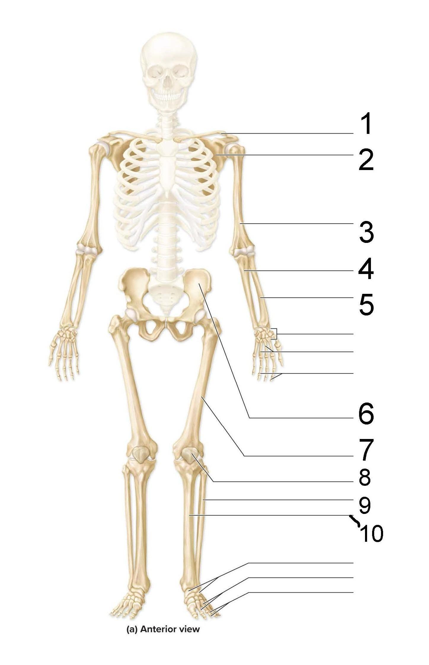 <p>What is identified in the picture (#1–#10)</p>
