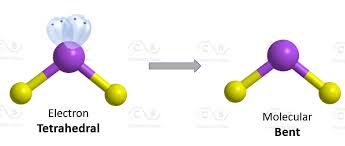 <p>tetrahedral; bent; 109.5</p>