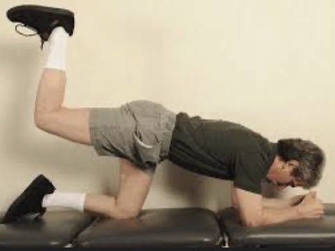 <p>Bent knee hip extension target muscle</p>