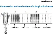 <p>compressions </p>