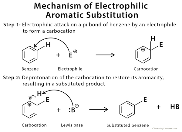 <p>Electron-rich molecule that attacks electrophiles. In benzene reactions, The benzene ring is the nucleophile. Why? Because the π electrons attack the electrophile. (Nucleophile is a pi bond or lone pair usually)</p>
