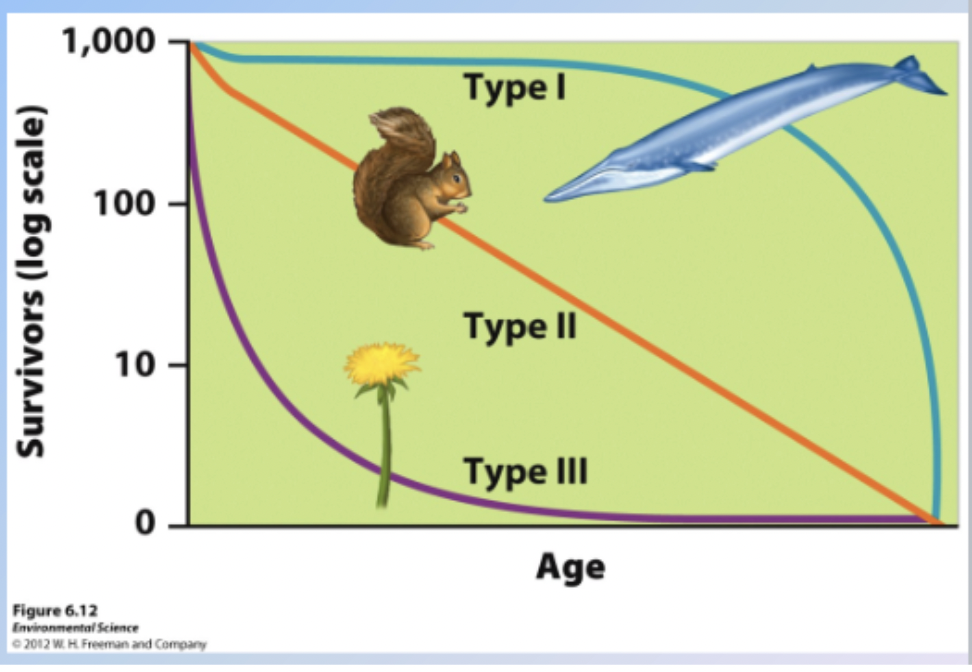 <p>Low rates of early survivorship</p>