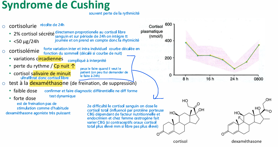 <p>pour salivaire, on met la petit mousse entre joue et gencive et on laisse quelque minute (on y a pas pensé avant car on avait pas trop de méthode assez sensible pour car cortisol concentration faible, on fait spectrométrie de masse)</p><p>1cortisolurie 2. salivaire 3. test à la dexaméthasone </p>