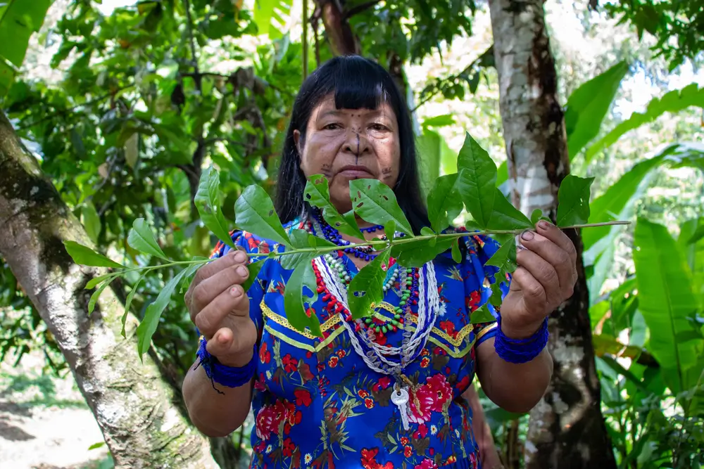 <p>Chocó, Quibdó</p>