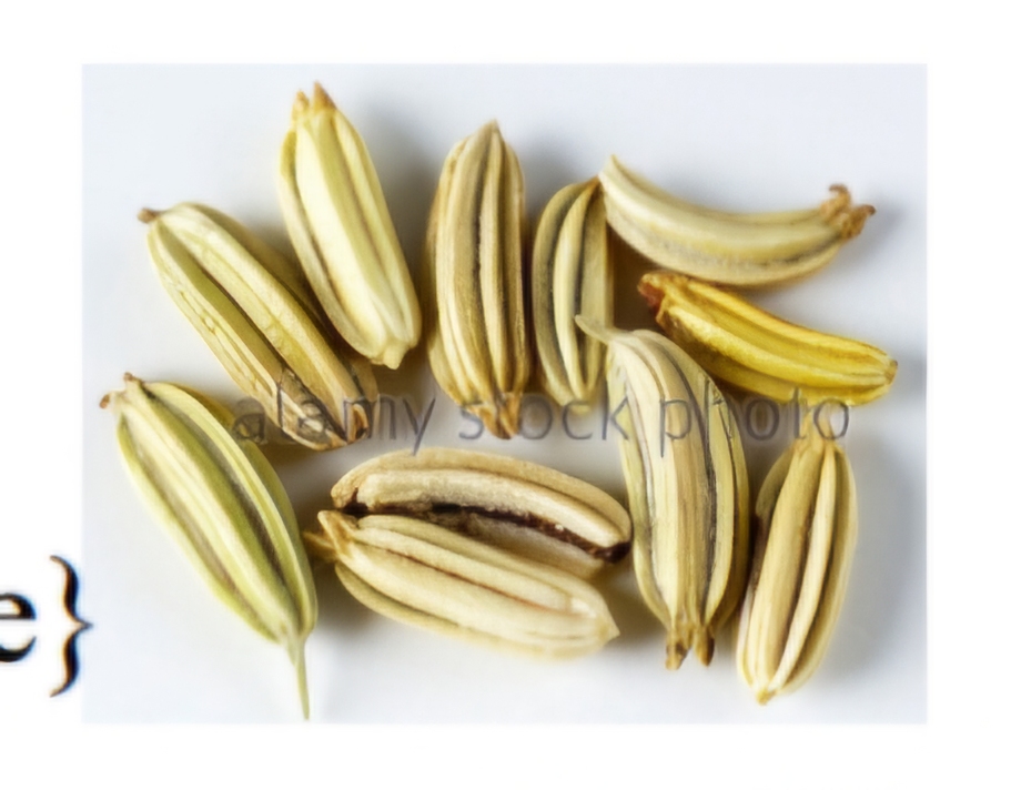 <p>What is this fruit?</p>