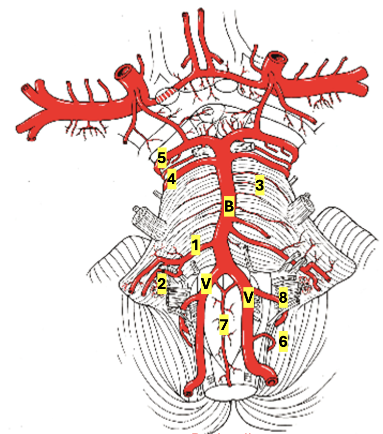 <p>Structures 5 - 6, V</p>