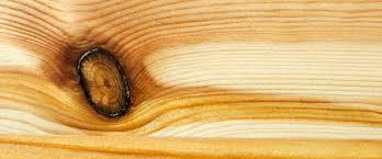 <p>formed at the base of branches where they extend into wood and can significantly affect bending strength of wood</p>