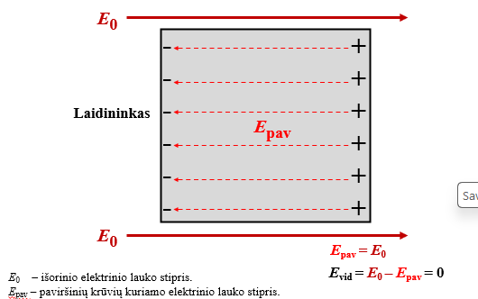 <p>reiškinys, kai veikiant elektriniam laukui priešingi laidininko paviršiai įsielektrina priešingų ženklų krūviais</p>