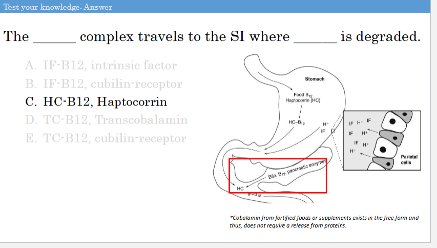knowt flashcard image