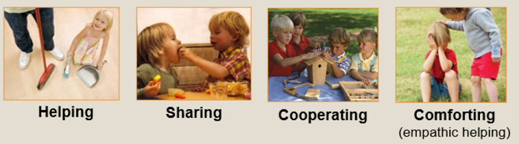 <p>voluntarily acting to benefit others:</p><p>-helping</p><p>-sharing</p><p>-cooperating</p><p>-comforting (empathetically)</p>