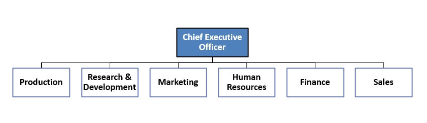<ul><li><p>Company has Separate Business Units (Divisions) → Each contain functions (Marketing/HR etc.)</p><ul><li><p>Can be regional, customer types, product types divisions</p></li></ul></li></ul><p></p>