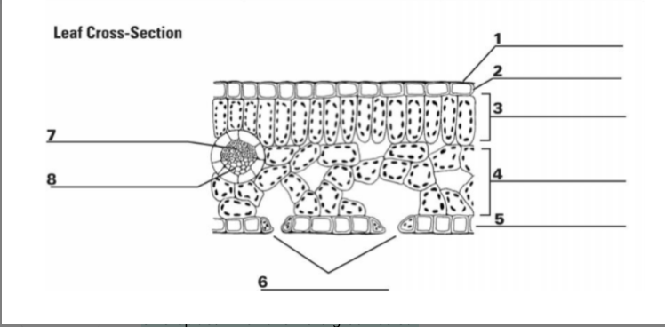 <p>what is number 3 and why is it helpful</p>
