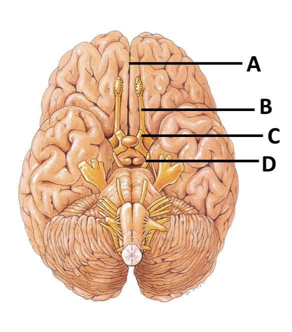 <p>name of B</p>