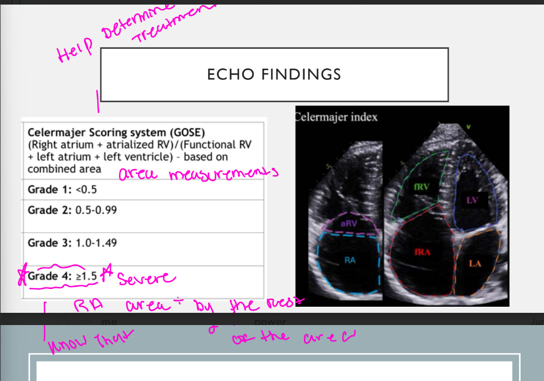 <p>Grade 4 greater then or equal to 1.5 (massively atrialized RV)</p><p>Celermajer index (based on echocardiographic</p><p>chamber size ratios).</p>