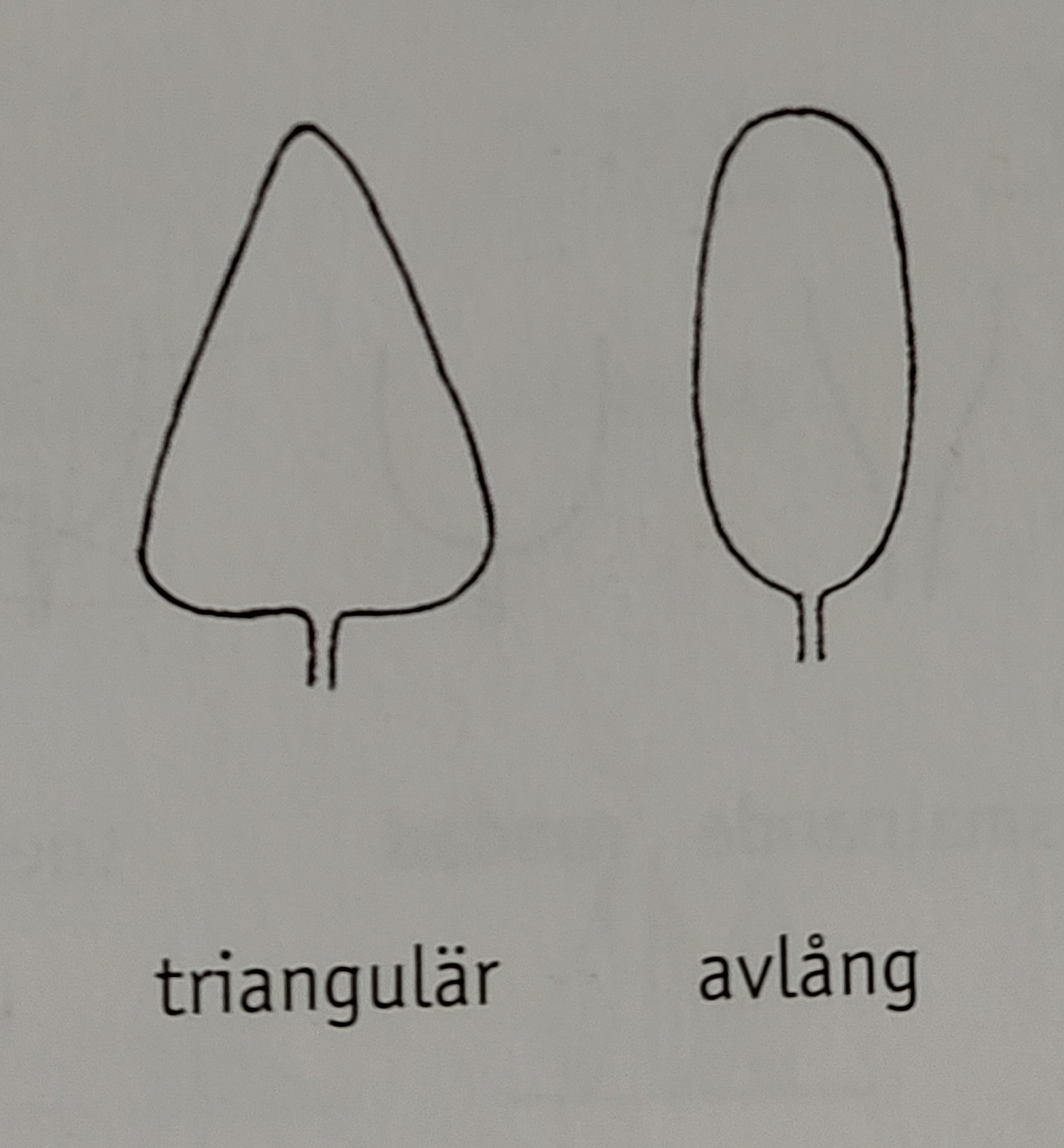 <p></p>