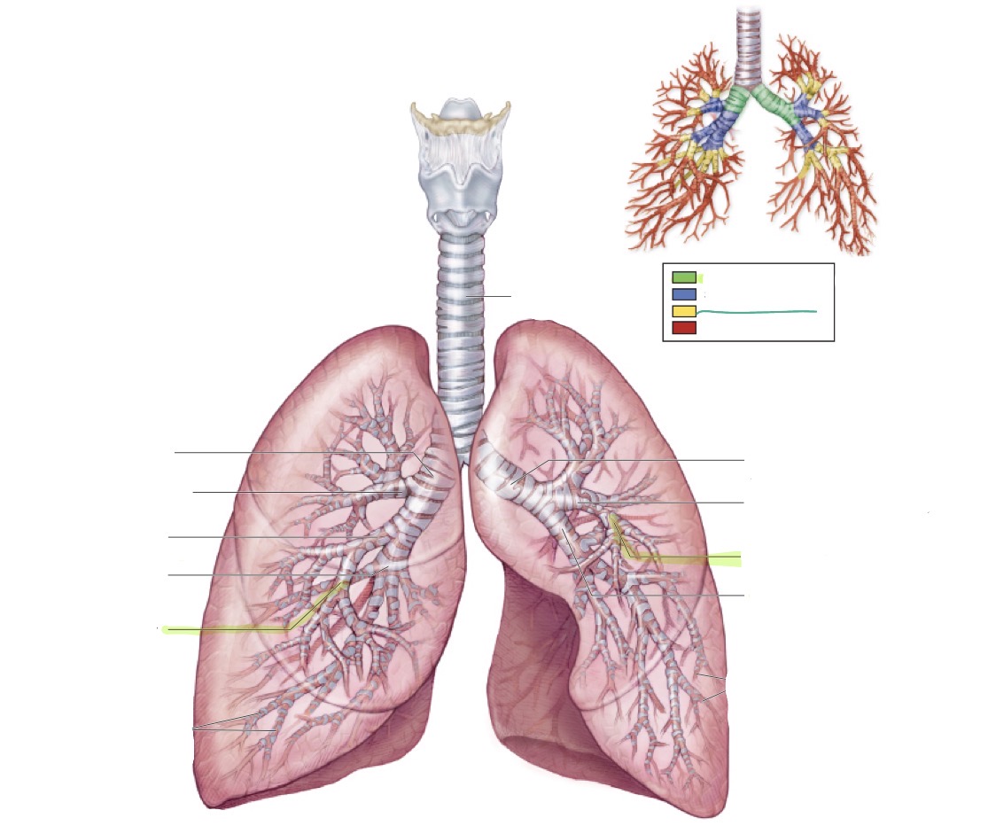 <p>what is this </p>