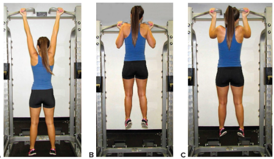 <ul><li><p>Subject grasps horizontal bar with palms away from face</p></li><li><p>From hanging position, subject pulls up until the chin is over the bar</p></li><li><p>Return to starting position</p><ul><li><p>closed-kinetic-chain exercise</p></li></ul></li></ul><p></p>
