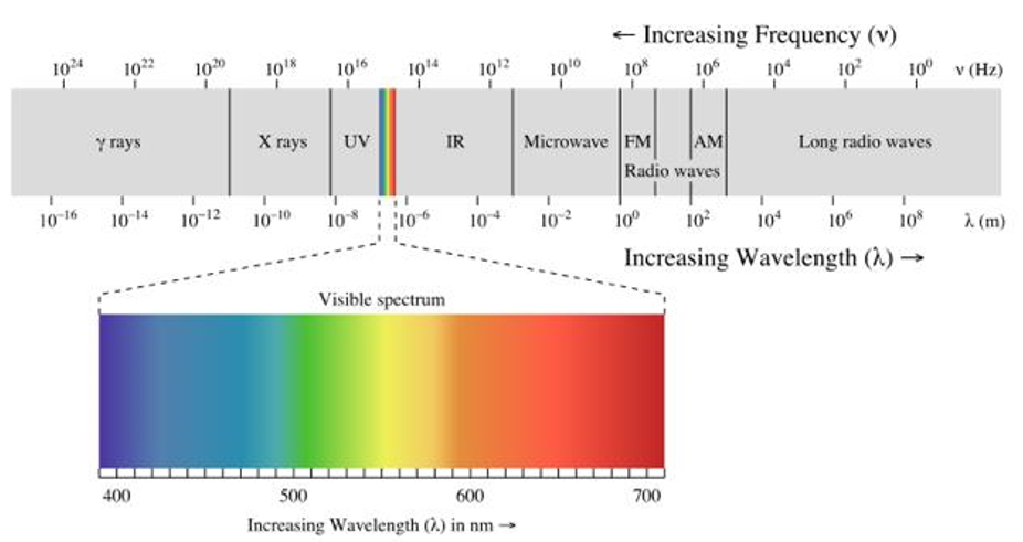 <p>About <strong>380 to 700 nanometres (nm) </strong></p><p>red = largest wavelength </p><p>blue = shortest wavelength </p>