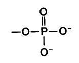 <p>FG</p>