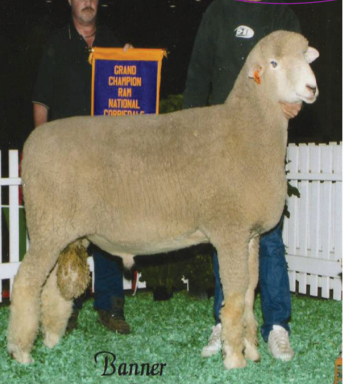 <img src="blob:null/c14918e0-a9a7-47b9-972d-4f1d3dbb4064"><p></p>