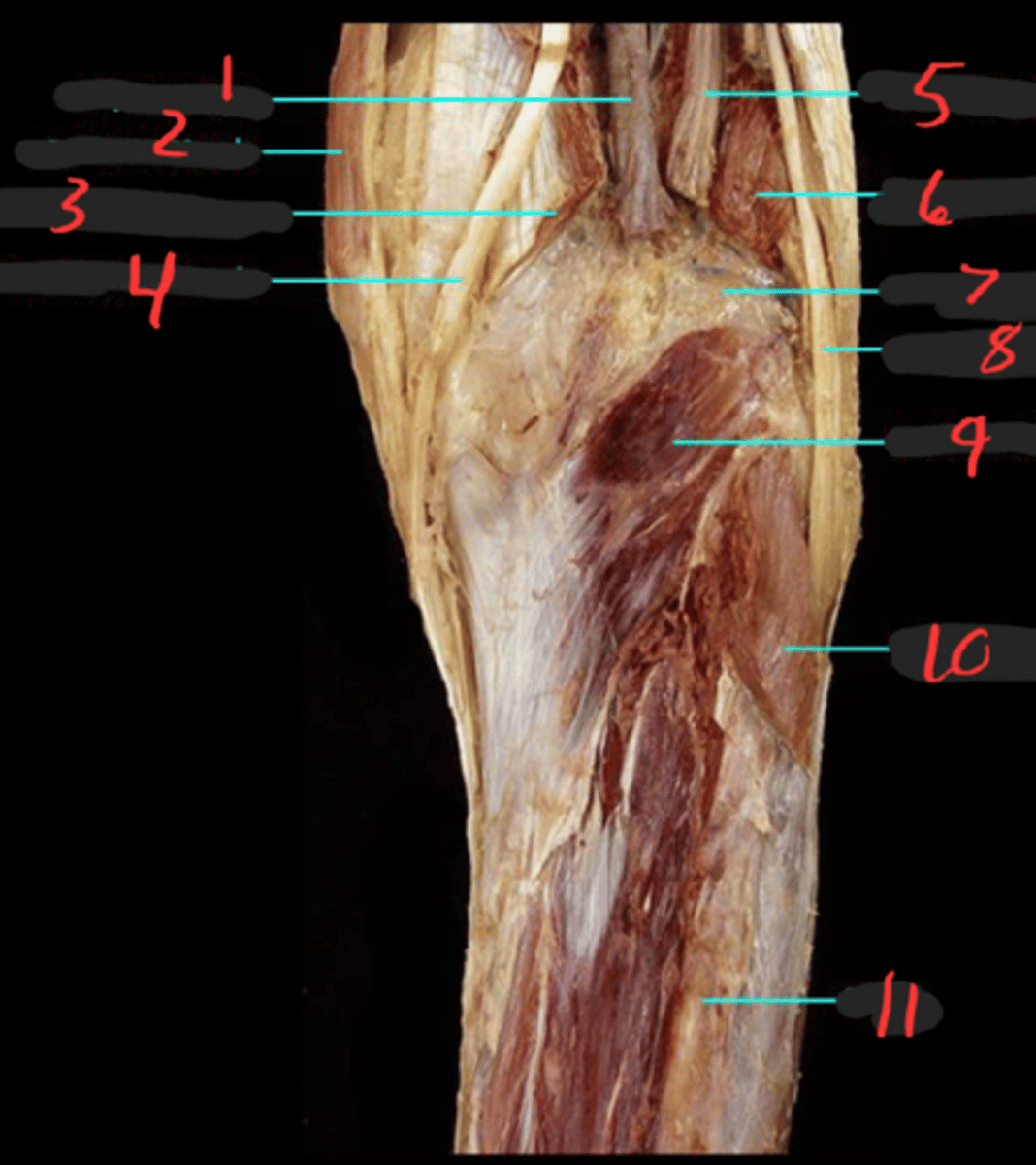 <p>10</p>