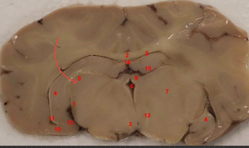 <p>what is this </p>