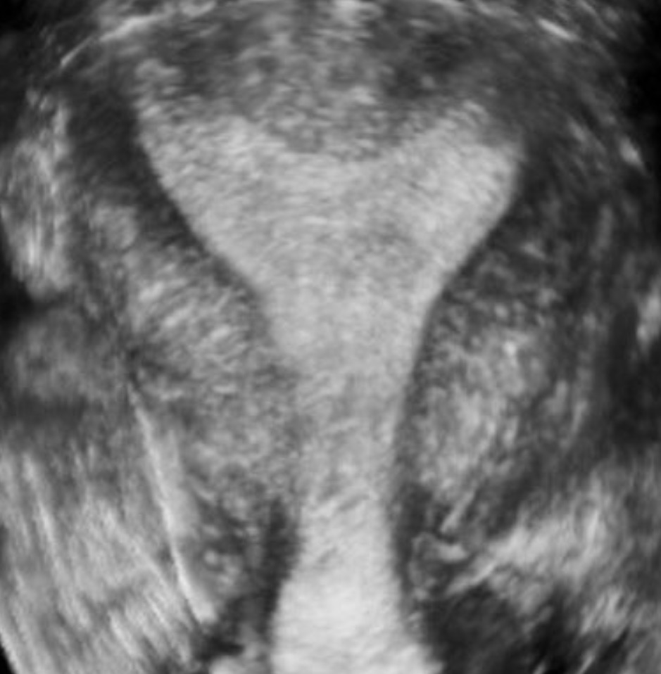 <p>What is seen in this image?</p>