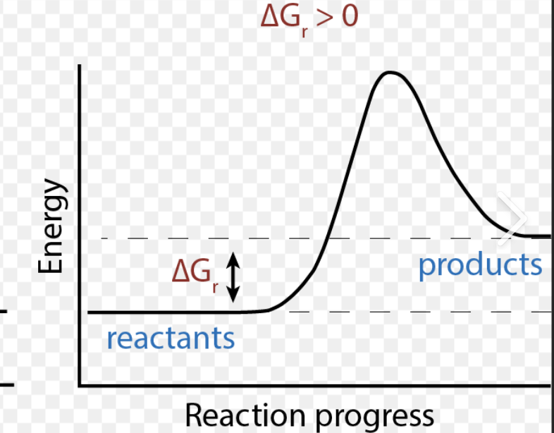 <p>+ΔG</p><p>Non-spontaneous (Needs energy to occur)</p>